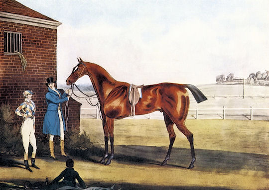 St Leger Winners: St Leger Winner 1823: Barefoot